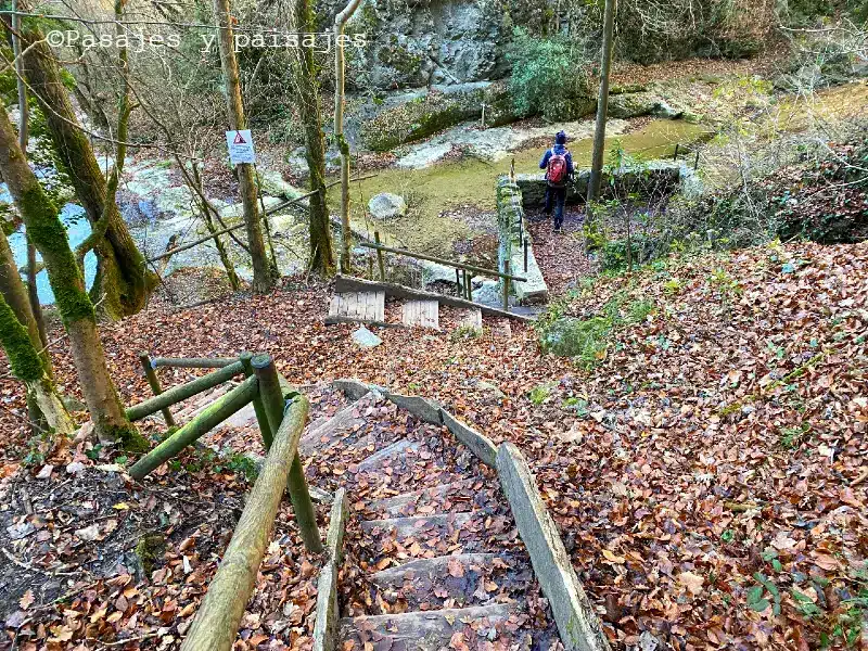 Salt del Mir