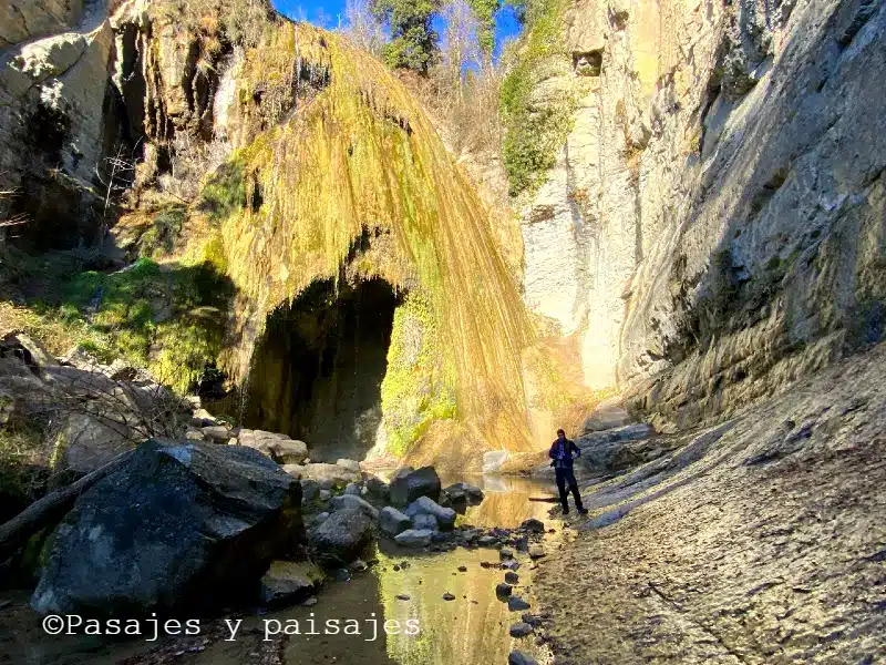 Salt del Mir