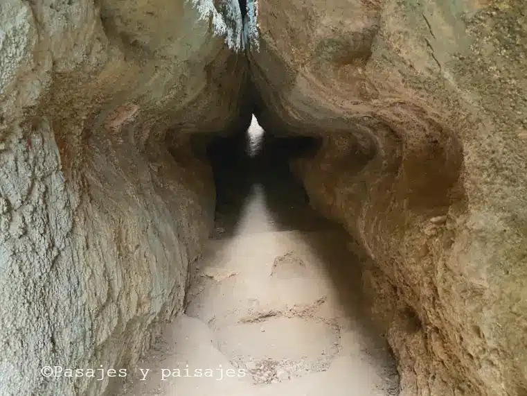 LA COVA ESTRELLA Y L’ALZINA DEL VENT