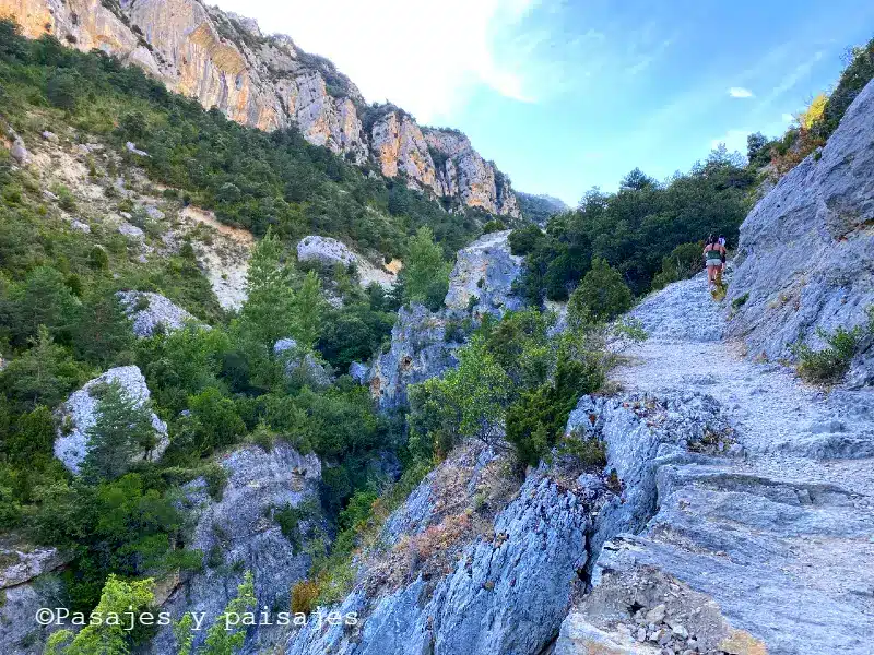 Desfiladero del Río Purón