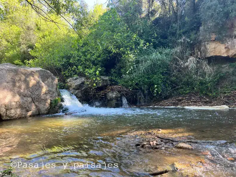 Gorg de la Noguera