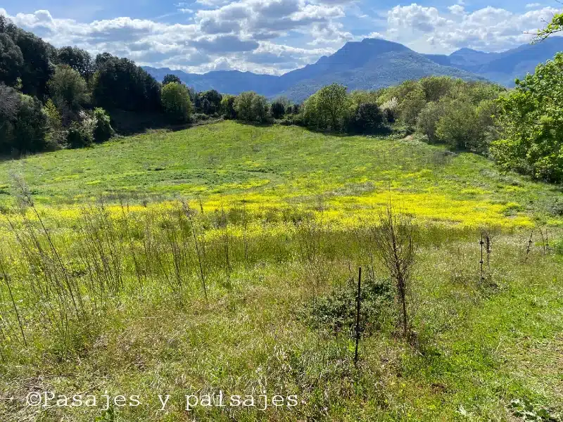La Garrotxa