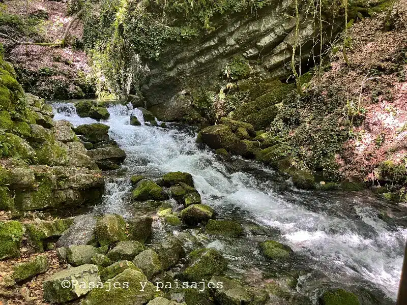 Nacimiento del rio bastareny