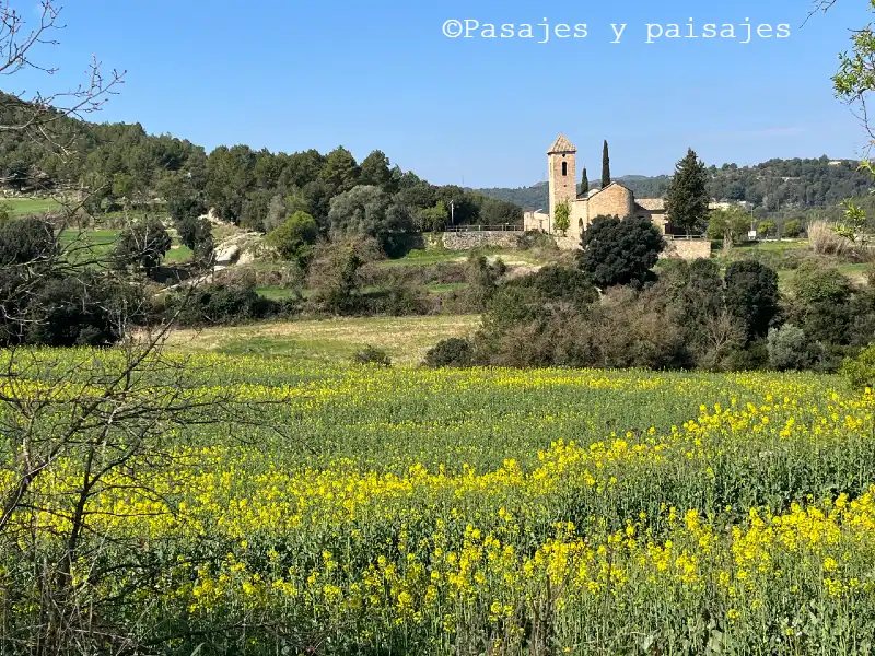 Sant Esteve de Marganell