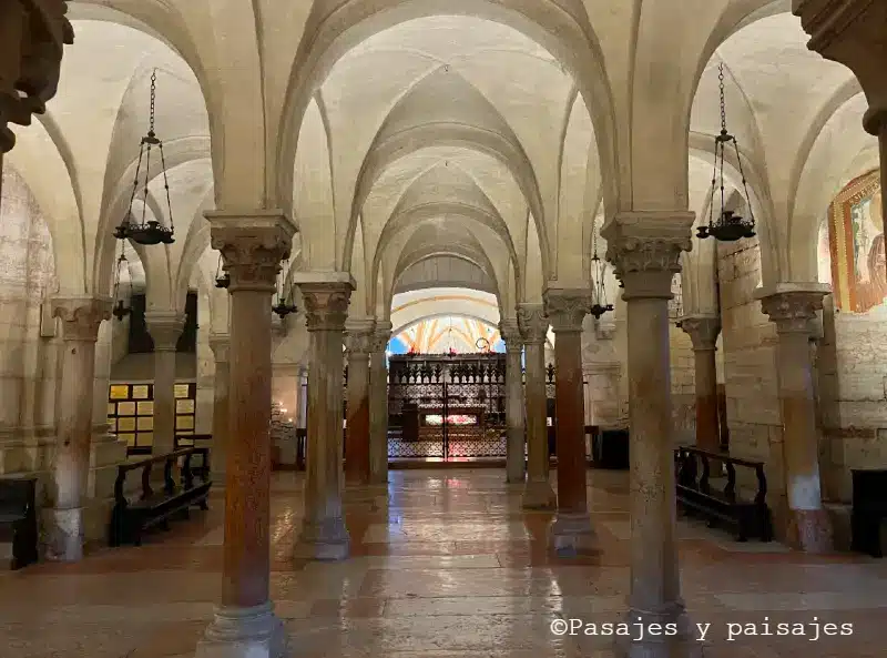 Basilica de San Zenon